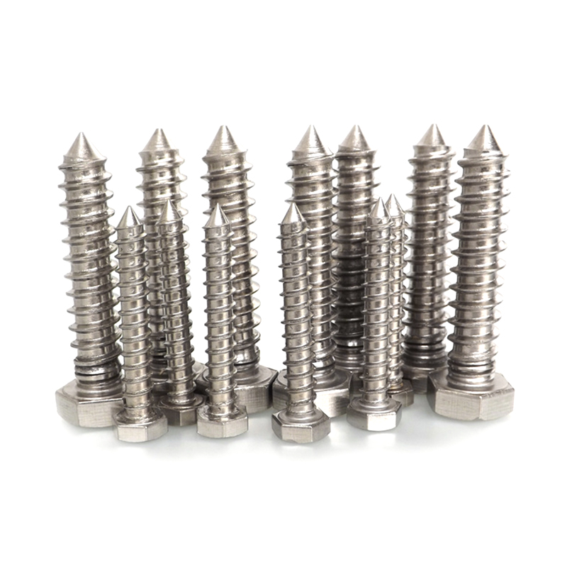 DIN 571 Campi Hex Caput Lignum Cochleas