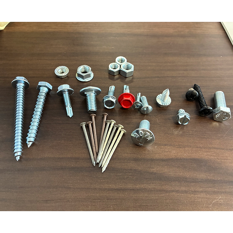 ST5 * 35 Steel 304 Hexagonal Wood Cochleas ST5 * 35 Steel 304 Hexagonal Wood Cochleas
