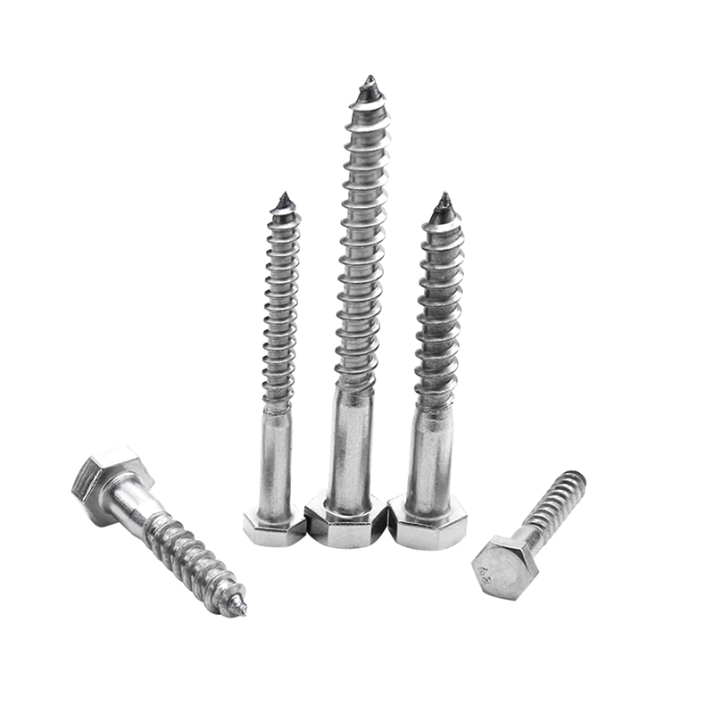 ST5 * 35 Steel 304 Hexagonal Wood Cochleas ST5 * 35 Steel 304 Hexagonal Wood Cochleas