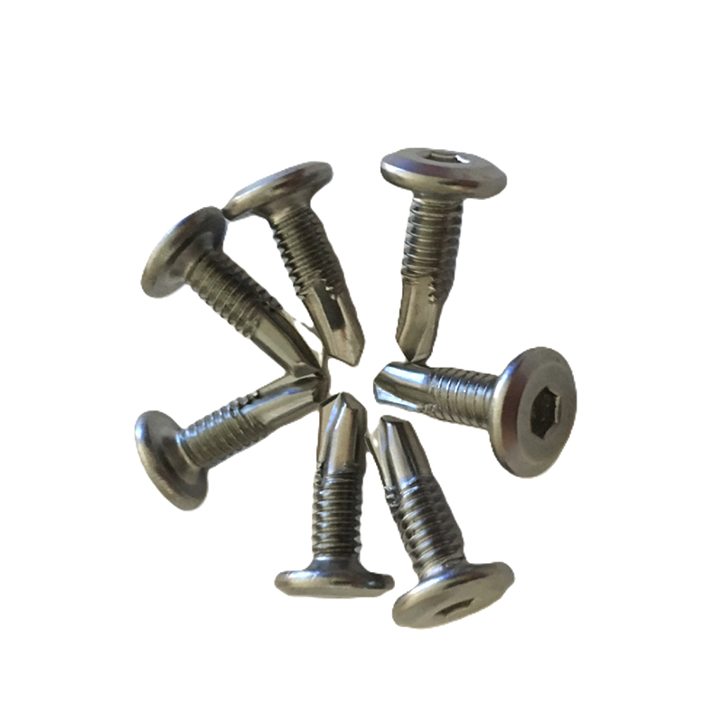 DIN7504M 410 Steel Self EXERCITATIO Cauda Cochleas